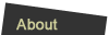 About S.I.R.